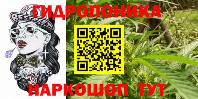 синтетический гашиш Кингисепп