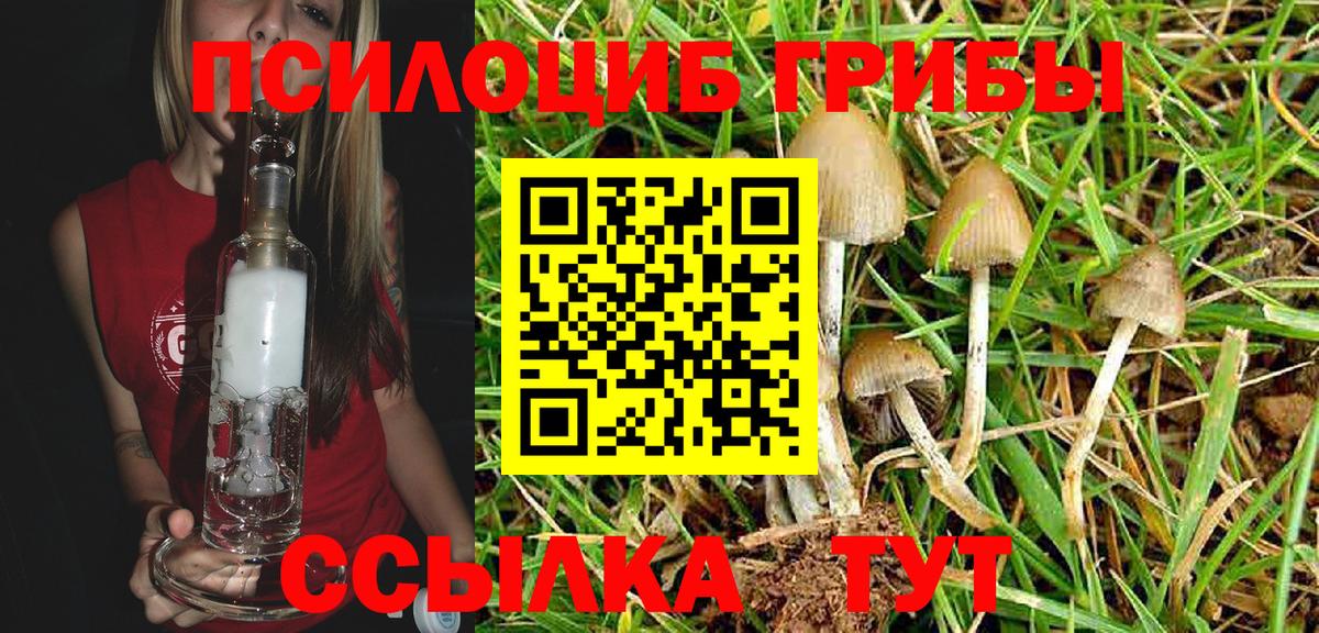 Галлюциногенные грибы MAGIC MUSHROOMS  Вход с VPN  Балашов  Псилоцибиновые грибы MAGIC MUSHROOMS 